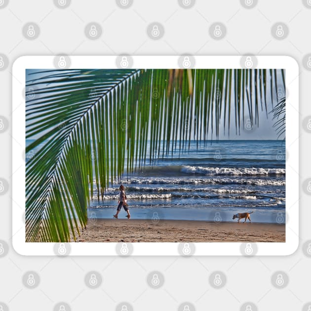 Costa Rica. Cahuita.The morning walk with a dog. Sticker by vadim19